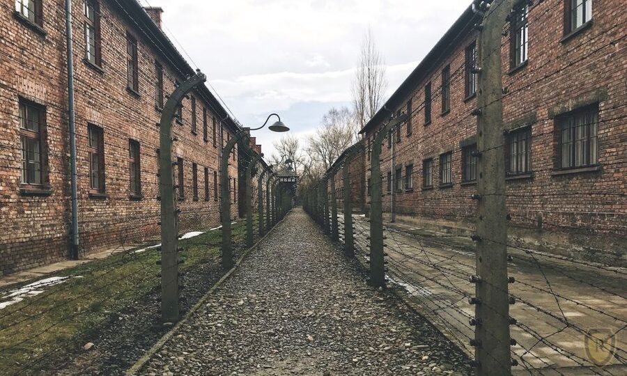 From Krakow: Auschwitz Birkenau Self-Guided Tour - Key takeaways before you go