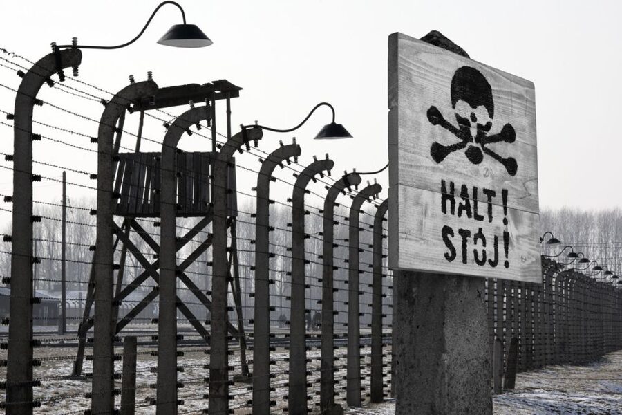 From Krakow: Auschwitz-Birkenau Tour - How the live guide and skip-the-line entry change your day