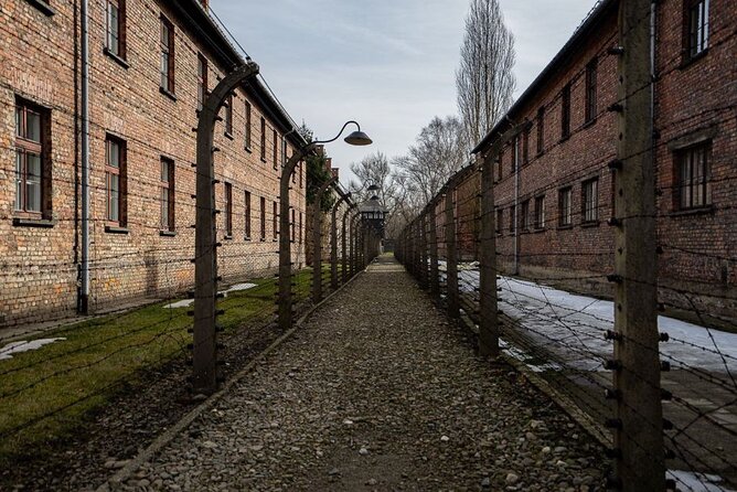 From Kraków: Auschwitz-Birkenau Tour with Lunch Box and Pick Up - Price And Value: Paying $94.93 For More Than A Ticket