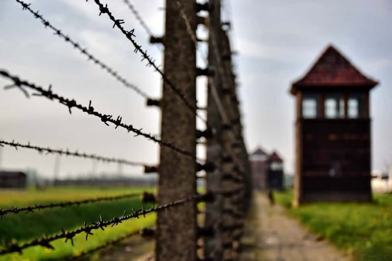 From Krakow: Auschwitz-Birkenau Tour with Transfer - Is This Tour Right for You? Best-Fit Travelers