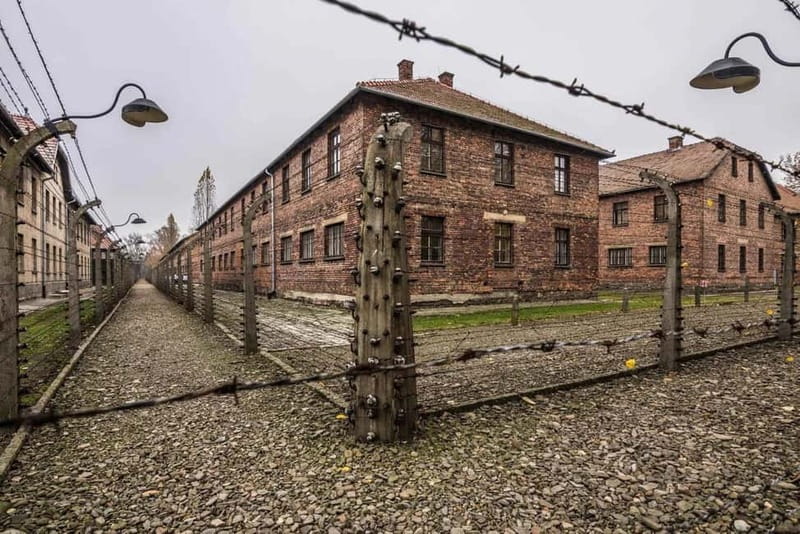 From Krakow: Auschwitz-Birkenau Tour with Transfer - Auschwitz-Birkenau From Krakow, How This Day Really Works