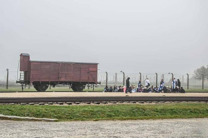 From Krakow: Auschwitz-Birkenau Tour with Transfer - Birkenau II: The Scale You Can Feel in Your Chest