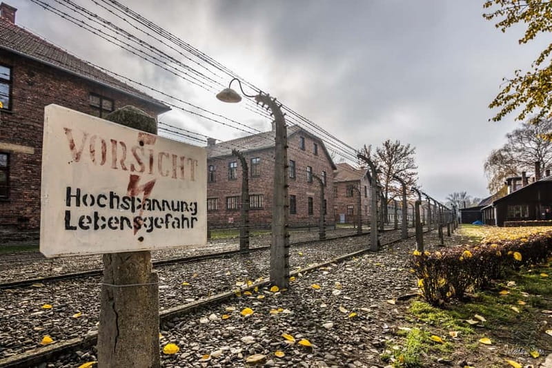 From Krakow: Auschwitz-Birkenau Tour with Transfer - Tour Leader Reality: Helpful, But Keep Your Expectations Grounded