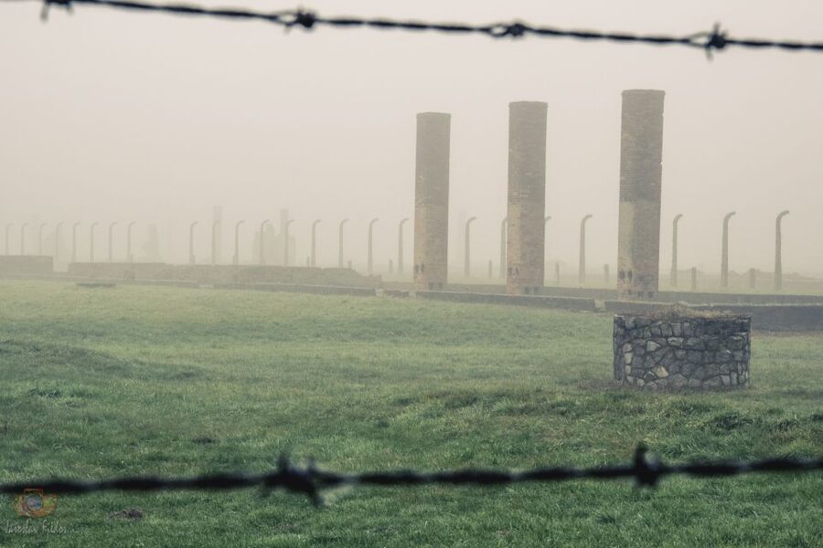 From Krakow: Auschwitz-Birkenau Tour with Transfer - How Long It Really Takes: 7 to 10 Hours, With Museum-Controlled Timing