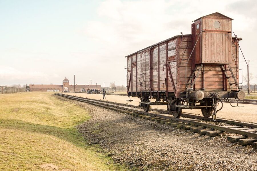 From Krakow: Auschwitz-Birkenau Tour with Transportation - Key highlights and what matters