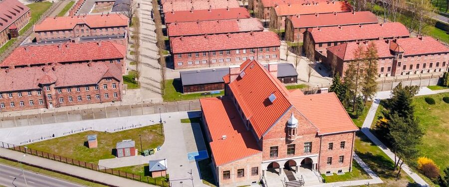 From Krakow: Auschwitz-Birkenau Tour with Transportation - Language options, group size, and what you should choose