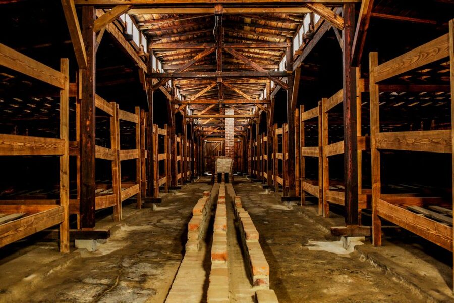 From Krakow: Auschwitz-Birkenau Tour with Transportation - Comfort on the road: vehicles, driver support, and snack reality