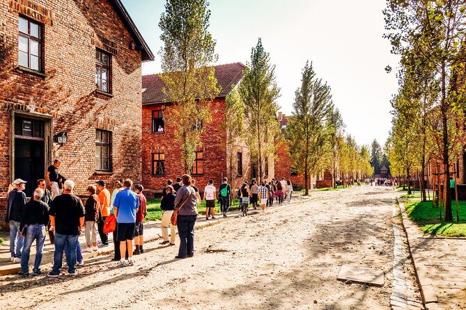 From Krakow: Auschwitz-Birkenau Trip with Transport - Who this trip suits best, and who might prefer a different approach