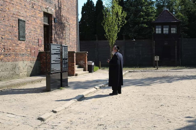 From Krakow: Auschwitz Museum and Wieliczka Salt Mine Tour - Wieliczka Salt Mine: why 380 steps is the best kind of workout