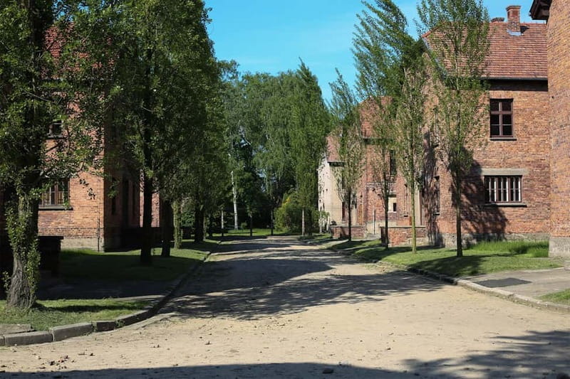 From Krakow: Auschwitz Museum and Wieliczka Salt Mine Tour - Exploring 20 chambers and the mine’s underground city feeling