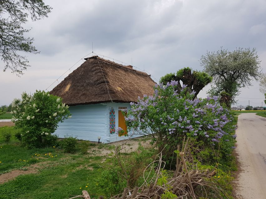 From Krakow: Guided Tour of Zalipie - Price and Value, Is 125 USD Fair?