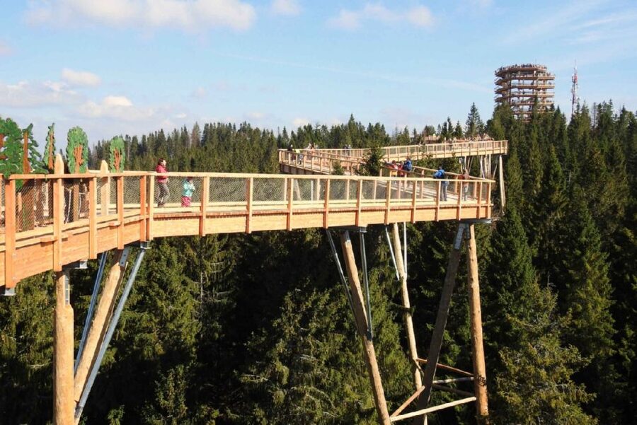 From Krakow: Morskie Oko and Slovakia Treetop Walk - Is this for you? Who will enjoy it most