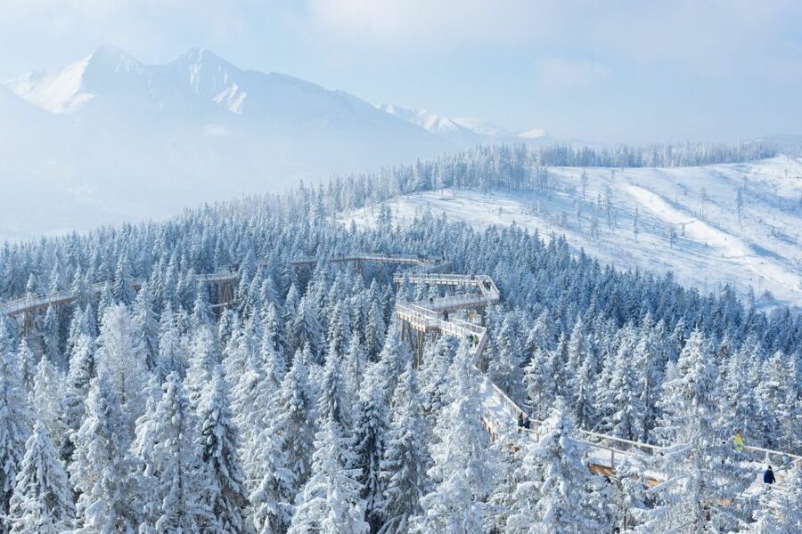 From Krakow: Morskie Oko and Slovakia Treetop Walk - Cableway ticket and entry: practical value that saves hassle