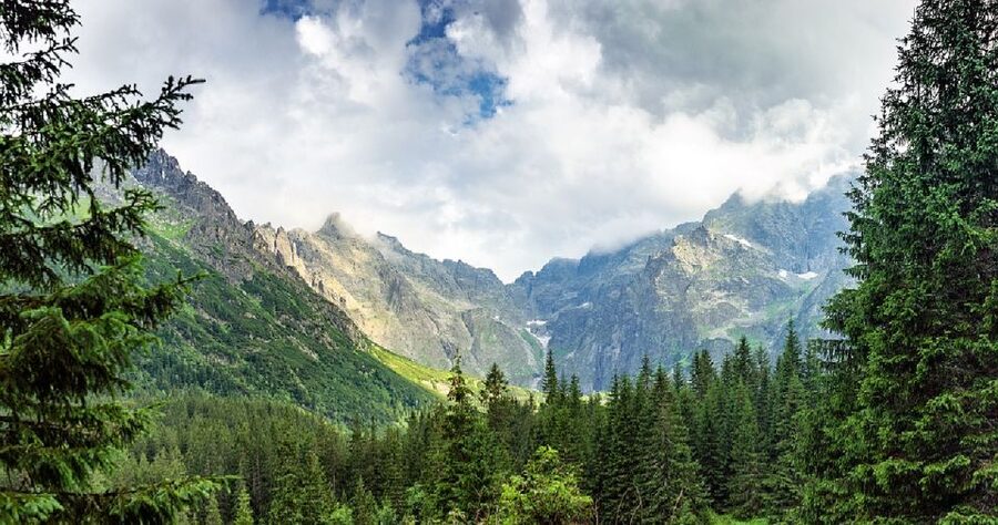From Krakow: Morskie Oko and Slovakia Treetop Walk - Driver style and communication: the human factor