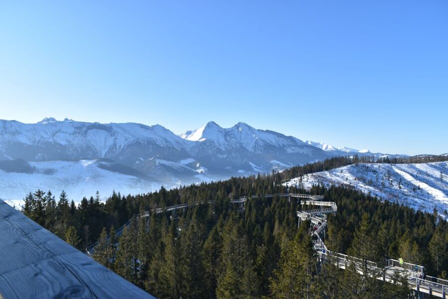 From Krakow: Morskie Oko and Slovakia Treetop Walk - Bachledova Valley treetop walk: the view is the point