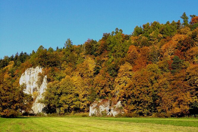 From Krakow: Ojcow National Park and Pieskowa Skala Castle - A Day Trip That Feels Like a Local Detour From Krakow
