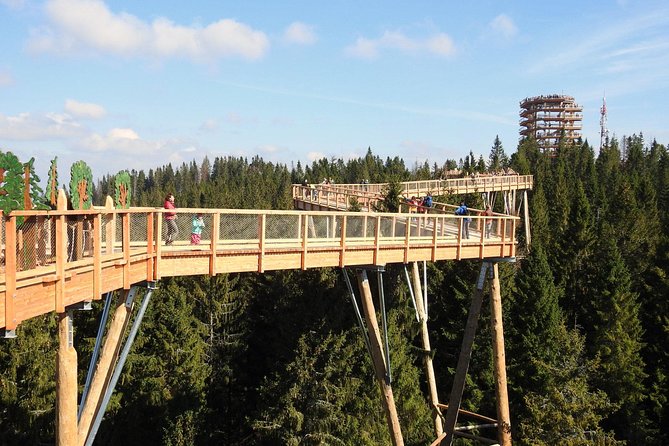 From Kraków: Slovakia Treetop Walk Bachledka and Zakopane - Why this Krakow to Slovakia to Zakopane day trip works so well