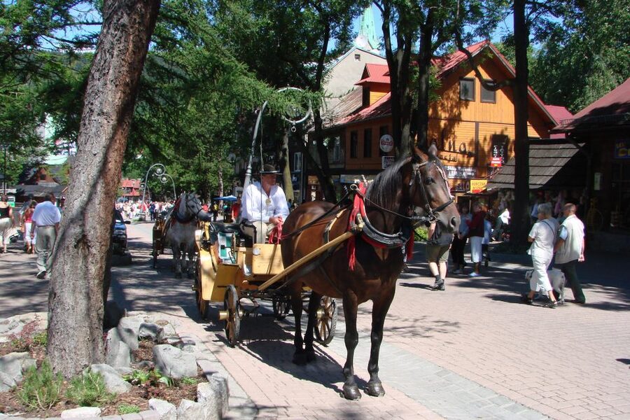 From Krakow: Slovakia Treetop Walk, Zakopane & Thermal Spa - Key highlights worth your attention