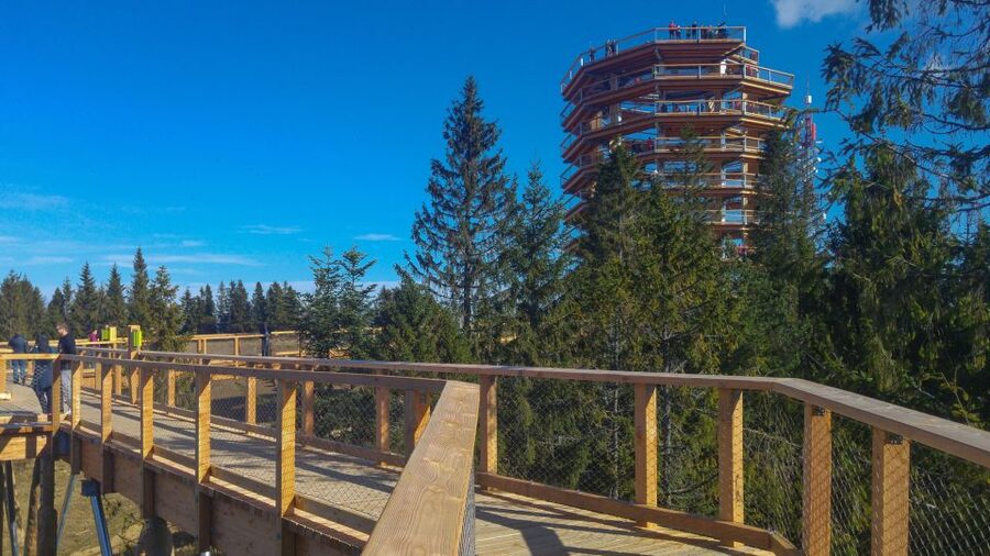 From Krakow: Slovakia Treetop Walk, Zakopane & Thermal Spa - The ride to the Tatras: why the bus time is part of the value