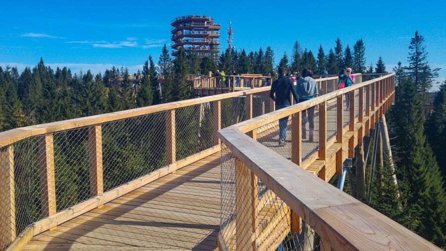 From Krakow: Slovakia Treetop Walk, Zakopane & Thermal Spa - Zakopane time: Krupowki street energy plus optional uphill fun
