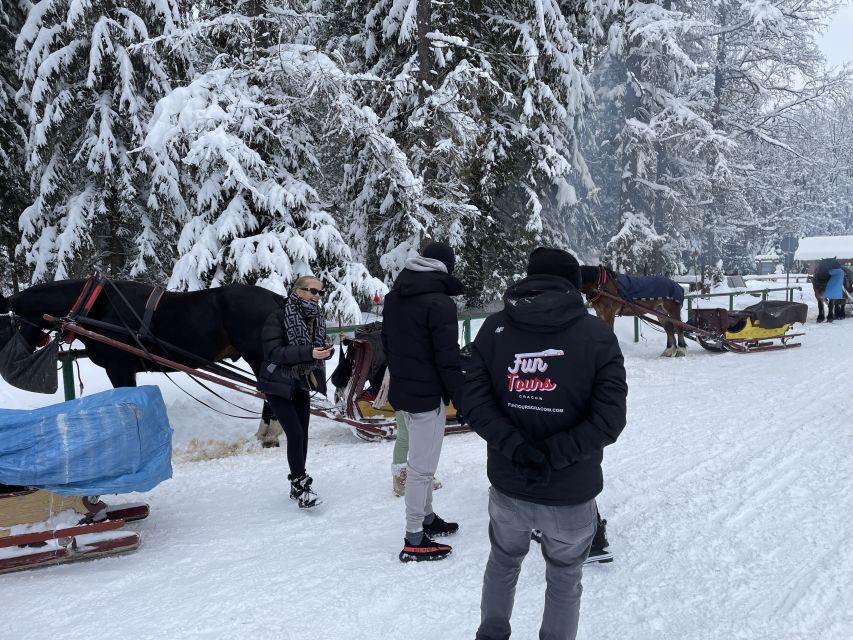 From Krakow: Snowmobile, Zakopane & Chochołowskie Baths - Should you book the snowmobile, Chochołów village, and thermal baths day trip?