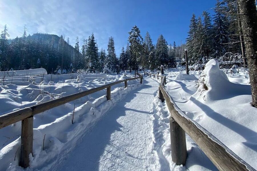 From Krakow: Tour to Zakopane with Tasting & Hotel Pickup - A quick Tatra Mountains scenic drive, without the hike