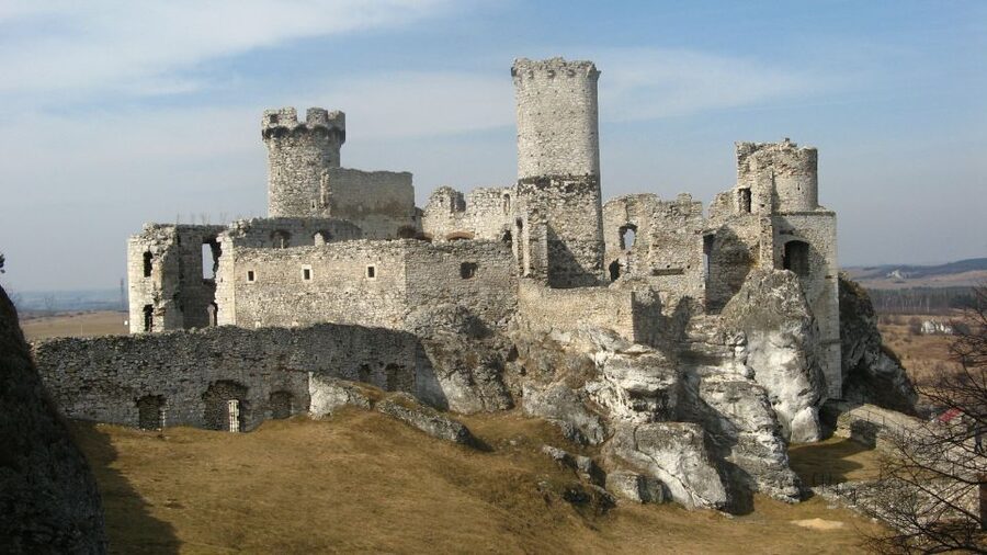 From Krakow: Trail of the Eagles’ Nests Day Tour - What You Really Get for the Price: Tickets, Minibus, and a Guide Who Makes Stones Talk