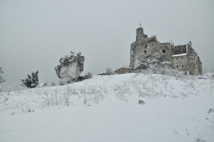 From Krakow: Trail of the Eagles’ Nests Day Tour - Rabsztyn and Ogrodzieniec Ruins: When Castles Feel Bigger Than Words