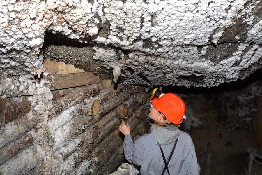 From Krakow: Wieliczka Salt Mine Half-Day Guided Tour - Salt-carved art and altars: statues you can’t quite explain