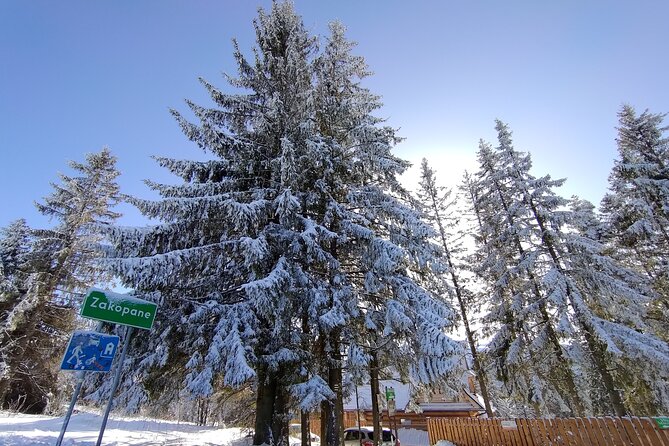From Krakow: Zakopane & Chocholowskie Thermal Baths - Krakow to Zakopane all day, with real convenience