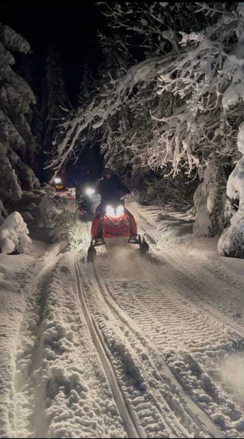 From Krakow: Zakopane Snowmobile NIGHT Ride, Bonfire, - The Zakopane coffee stop and photo break: more than just waiting time