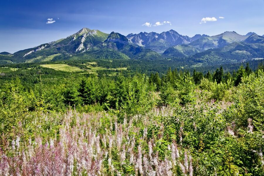 From Krakow: Zakopane Tatra Mountains & Hot Springs Tour - Key things to know before you go