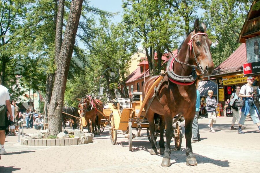 From Krakow: Zakopane & Tatra Mountains Tour - The traditional mountain hut stop and highlander cheese tasting