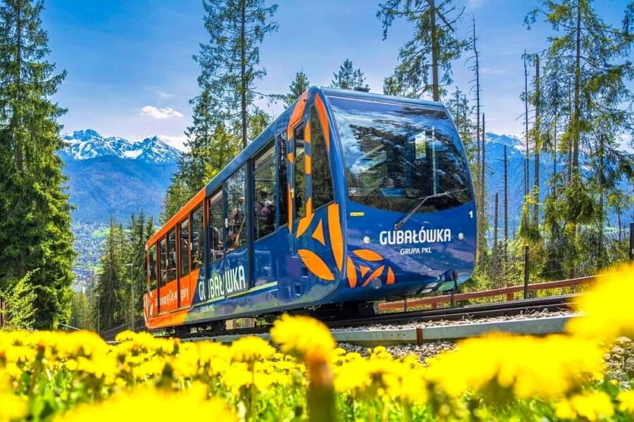 From Krakow: Zakopane & Tatra Mountains Tour with Cable Car - Krupówki Street: your free-time reset in Zakopane