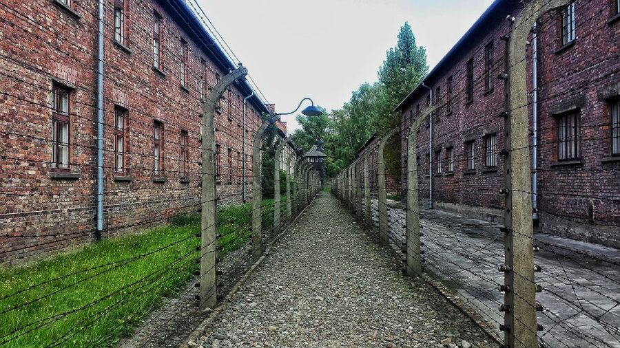 From Warsaw: Auschwitz-Birkenau Guided Tour with Fast Train - Key points to know before you go