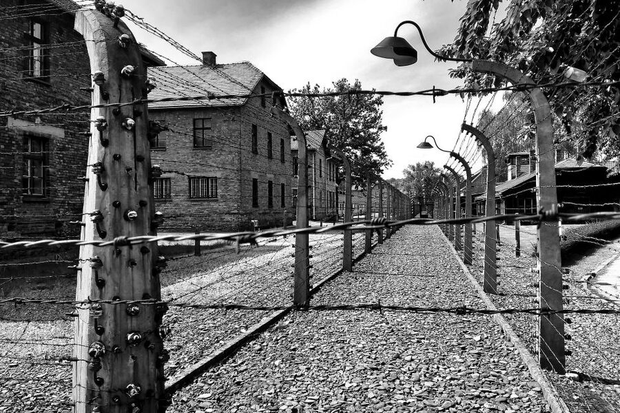 From Warsaw: Auschwitz-Birkenau Guided Tour with Fast Train - Languages and understanding: how to get the best experience