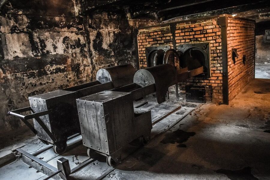 From Warsaw: Auschwitz-Birkenau Guided Tour with Fast Train - Auschwitz Museum I: original grounds and the guide’s story