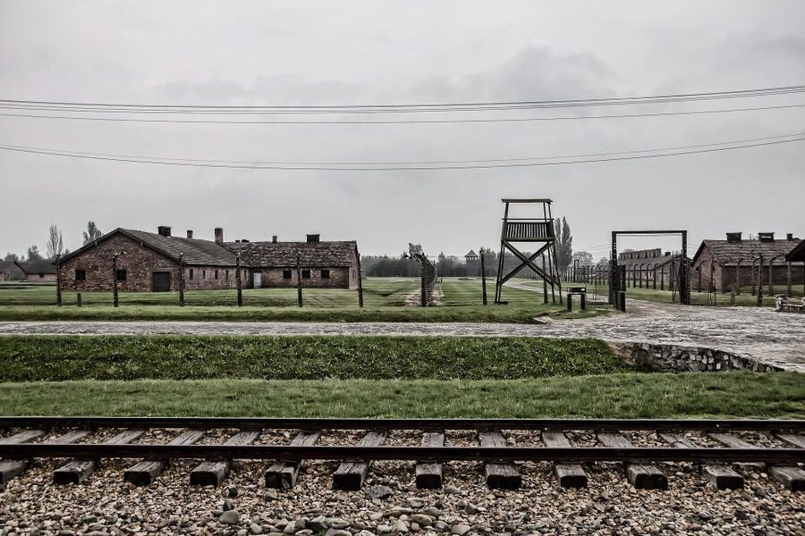 From Warsaw: Auschwitz-Birkenau Guided Tour with Fast Train - The “headset and group pace” reality check