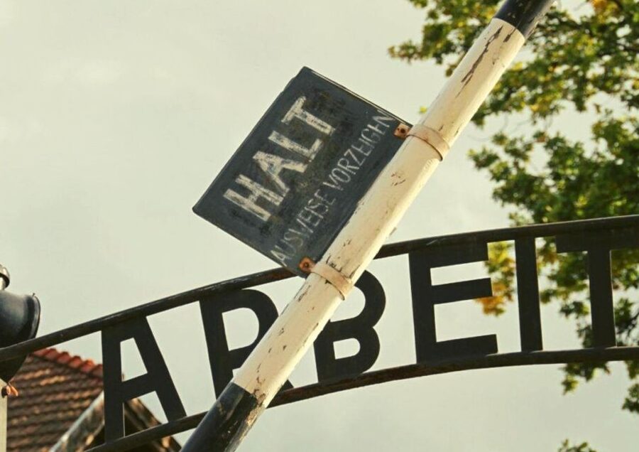 From Warsaw: Auschwitz-Birkenau Small Group Tour with Lunch - Key things to know before you go