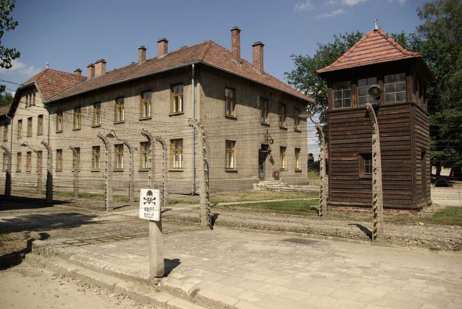 From Warsaw: Auschwitz-Birkenau Small Group Tour with Lunch - Should you book this Auschwitz-Birkenau from Warsaw tour?