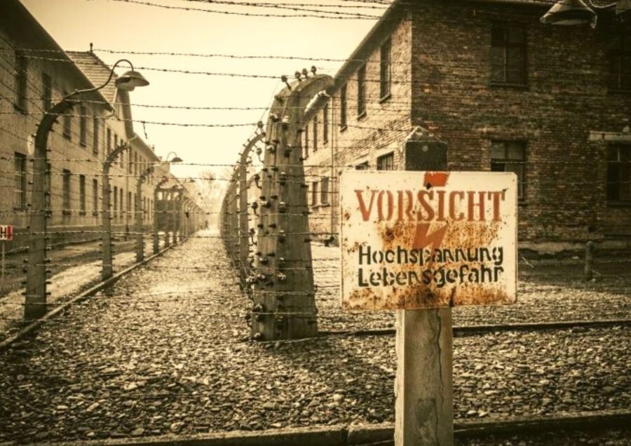 From Warsaw: Auschwitz-Birkenau Small Group Tour with Lunch - Warsaw to Oświęcim: the logistics that shape the whole day