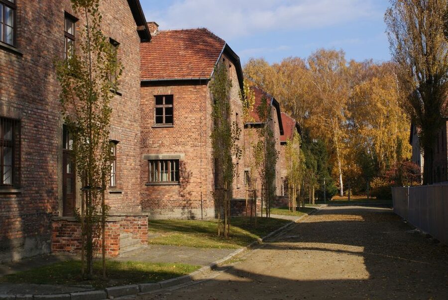 From Warsaw: Auschwitz-Birkenau Small Group Tour with Lunch - Lunch in Oświęcim: what’s included, and how to handle surprises