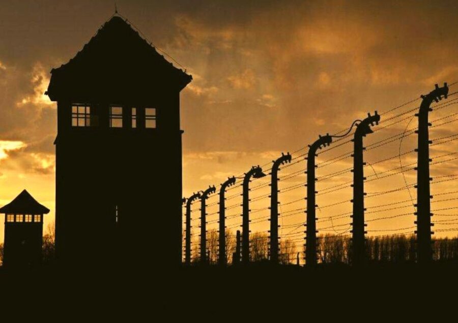 From Warsaw: Auschwitz-Birkenau Small Group Tour with Lunch - Group size, accessibility, and what the day feels like in your body