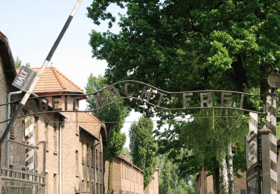 From Warsaw: Auschwitz-Birkenau Small Group Tour with Lunch - Skip-the-line, entrances, and why $350 can still make sense