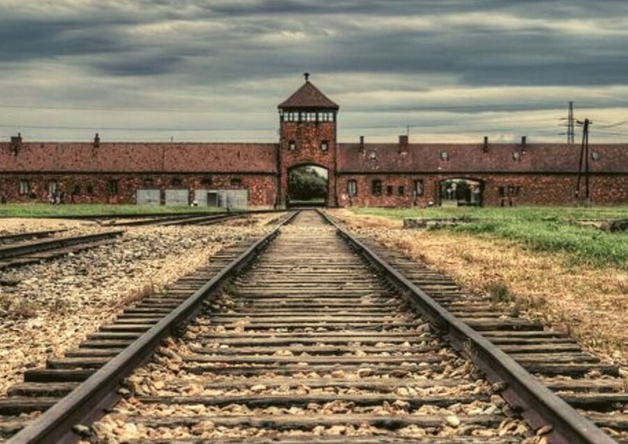 From Warsaw: Auschwitz-Birkenau Small Group Tour with Lunch - What kind of traveler should choose this tour