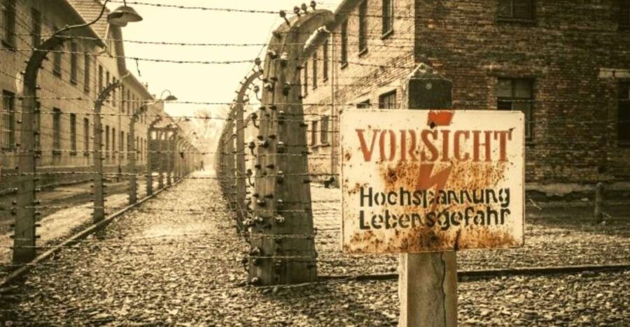 From Warsaw: Auschwitz-Birkenau Small Group Tour with Lunch - How start times, drive time, and long pacing affect your visit
