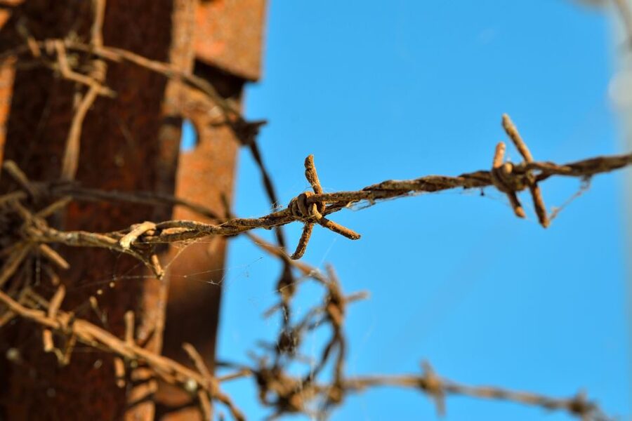 From Warsaw: Auschwitz-Birkenau Tour by Car - Transportation value: why this $265 day trip can beat DIY stress