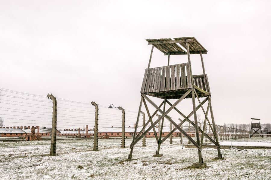 From Warsaw: Guided Tour to Auschwitz-Birkenau and Krakow - Who this tour suits best, and who should reconsider