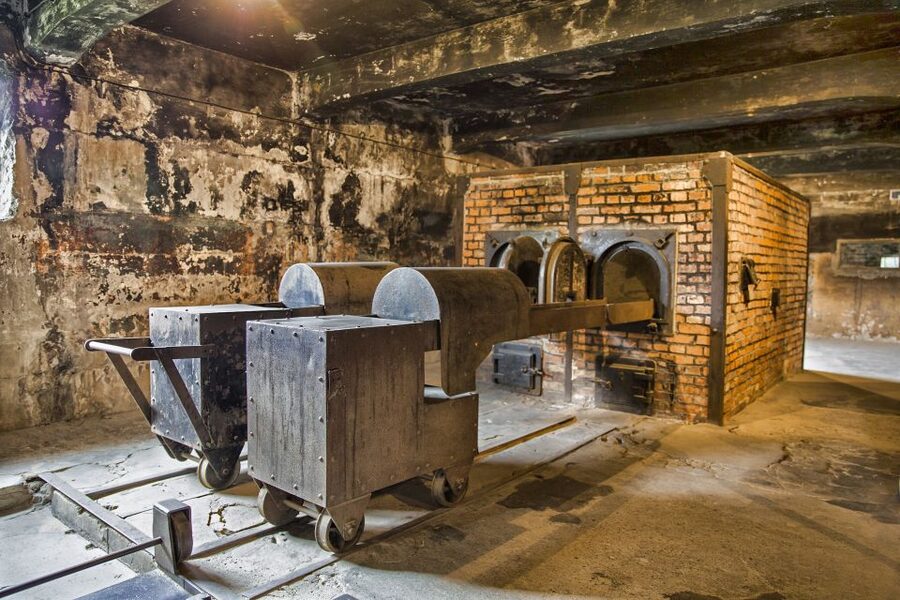 From Warsaw: Guided Tour to Auschwitz-Birkenau and Krakow - Should you book this Warsaw to Auschwitz-Birkenau and Krakow day trip?