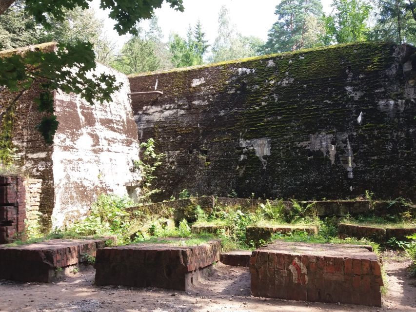 From Warsaw: Tour of the Wolf's Lair, Hitler's HQ by Car - Warsaw to the Masurian woods by car: why the drive is part of the experience